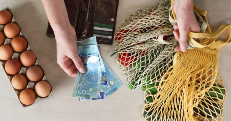 7 Ways To Cut Grocery Costs Without Coupons In 2023