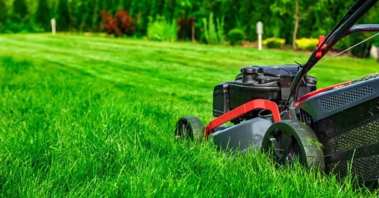 How To Mow A Lawn: Tips For Proper Technique & Maintenance