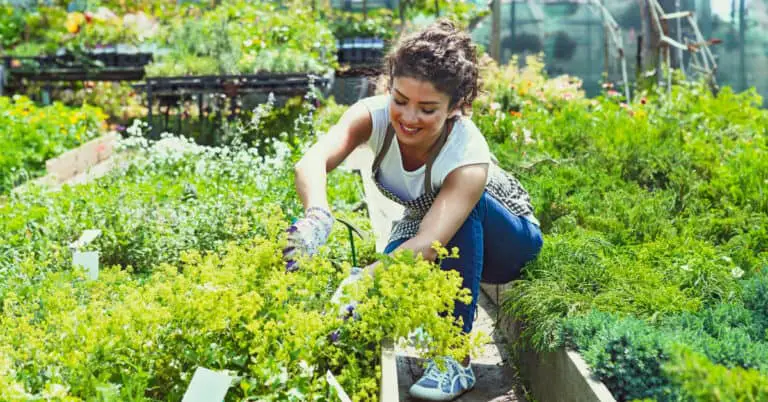 5 Basic Gardening Tips Every Gardener Should Know
