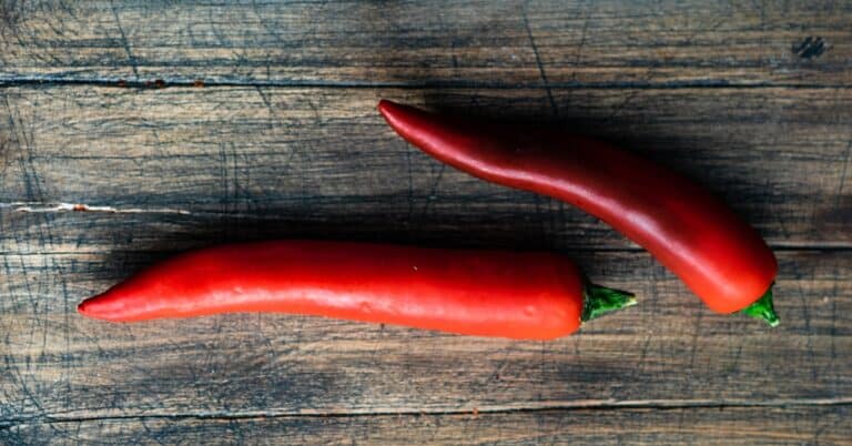 Are Spicy Foods Healthy Or Dangerous?
