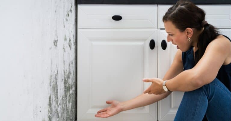 Identifying & Addressing Mold Infestation On Bedroom Walls