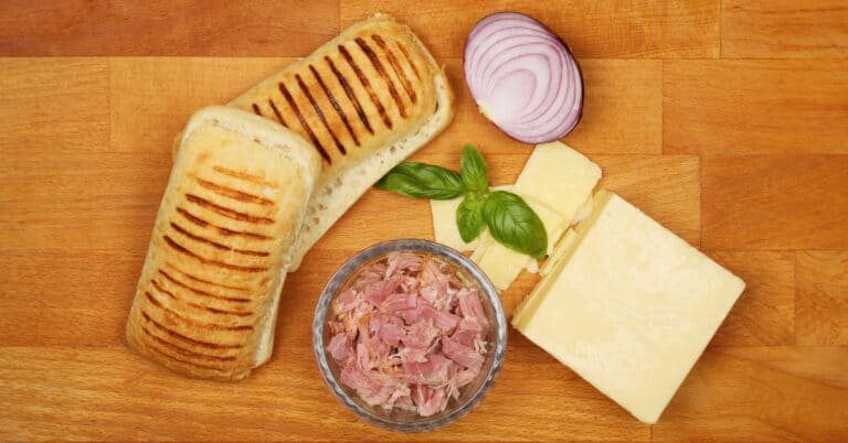 Best Panini Recipes: Gourmet Sandwiches for Every Palate