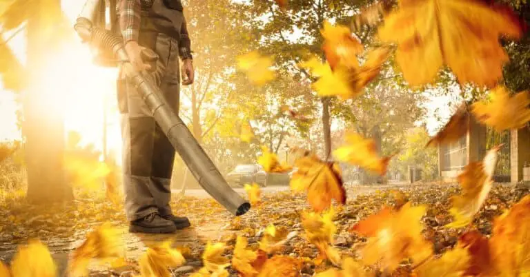 Best Cordless Leaf Blowers: Top Picks For 2023