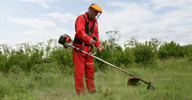 Best Electric String Trimmers: Top Picks for Efficiency