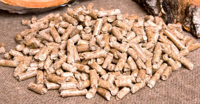 Best Pellet Smokers: Top Picks For 2023