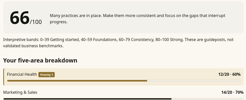 Sample assessment score of 66 out of 100, followed by Financial Health and Marketing and Sales breakdown rows.